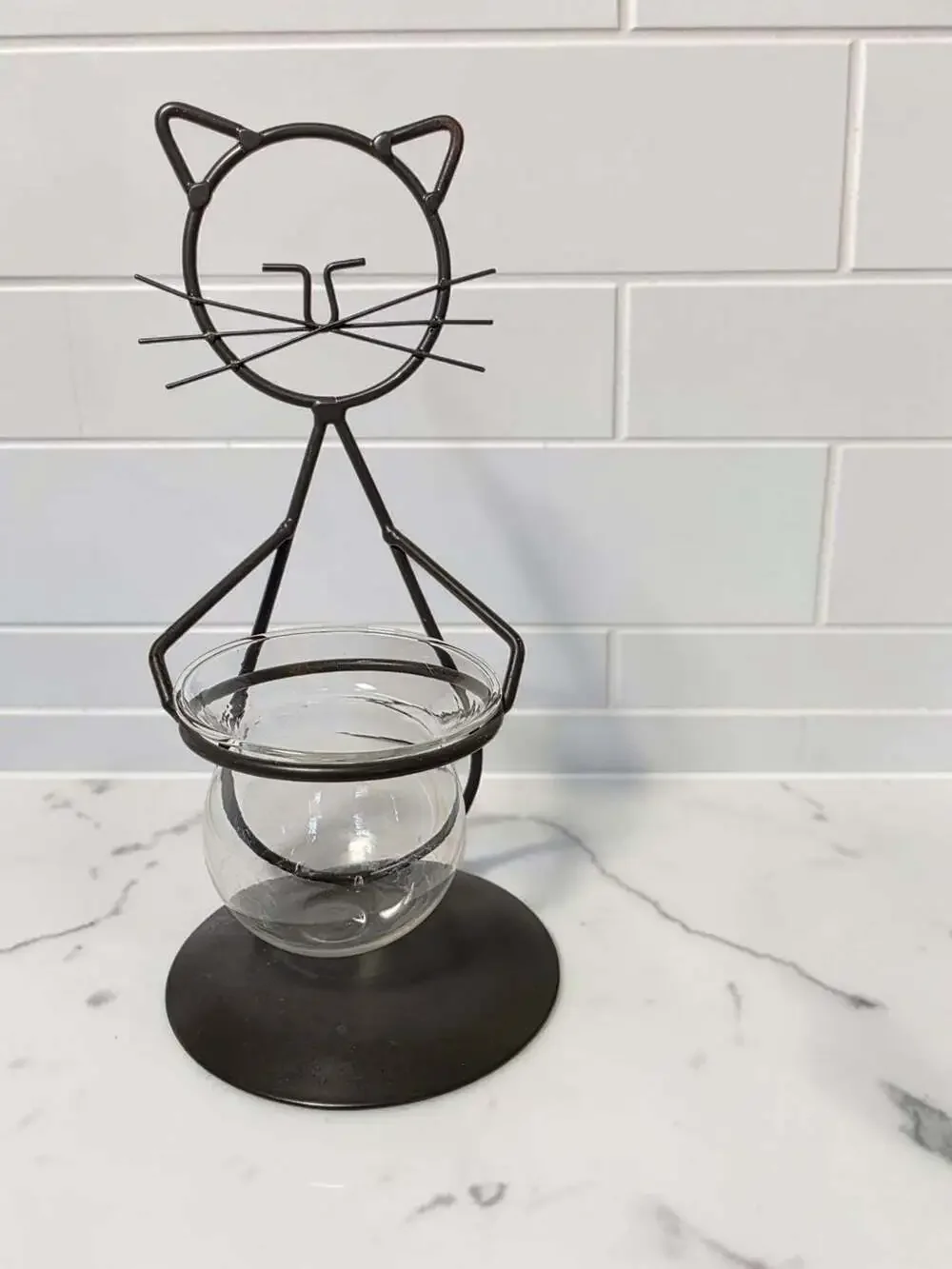 EatingBiting metal cat